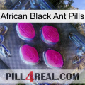 African Black Ant Pills 02